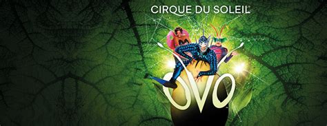 Cirque Du Soleil Ovo Billets Ticketcorner Billetterie Officielle