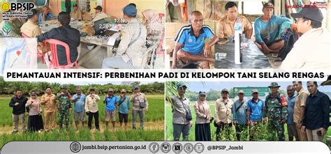 Berita BSIP Jambi Pemantauan Intensif Perbenihan Padi Di Kelompok