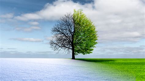 Embracing Change: The Path to Lasting Transformation