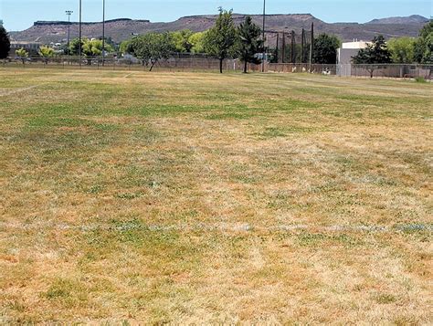 City Well Problems Cause Dead Grass In Parks Kingman Daily Miner Kingman Az