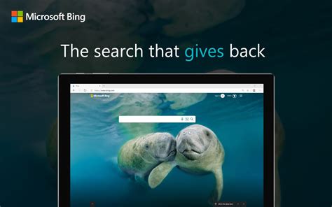 Microsoft Bing Search Engine - Default Search Provider
