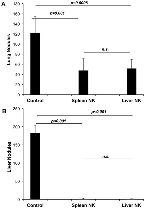 Adoptive Transfer Of Nk Cells Protects Nk Cell Deficient Mice From