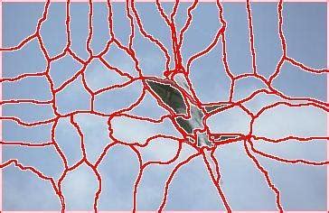 4. Initial segmentation: Regions obtained in the initial segmentation ...