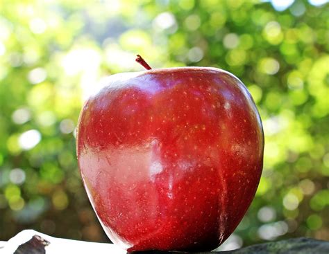 Apple Rode Appel Chief · Gratis foto op Pixabay