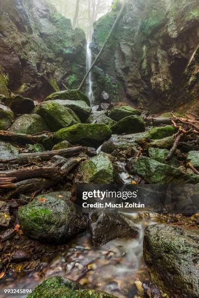 13,927 Ilona Stock Photos, High-Res Pictures, and Images - Getty Images