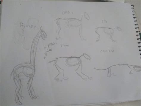 Dia Anatomia De Animais Desenho Rascunho E Pintura Amino