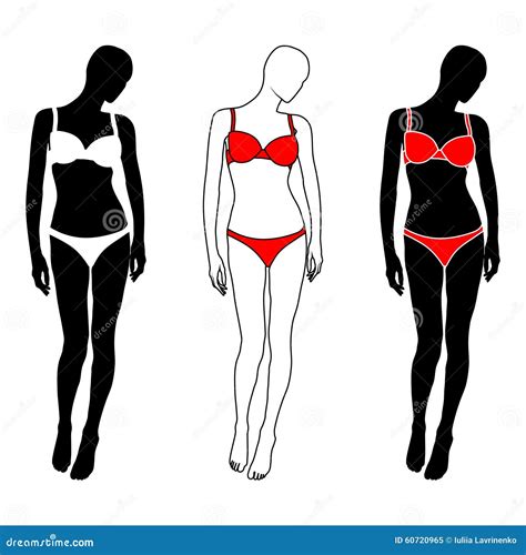 Vector Woman Silhouette In Lingerie CartoonDealer 60720965