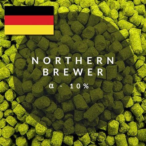 Хмель, купить хмель для пива NORTHEN BREWER, 50 гр с доставкой по РБ..