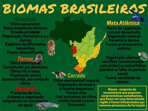 Liste 5 Cinco Atividades Humanas Que Prejudicam Os Biomas Brasileiros