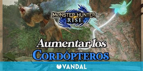 Monster Hunter Rise C Mo Aumentar El M Ximo De Cord Pteros Disponibles