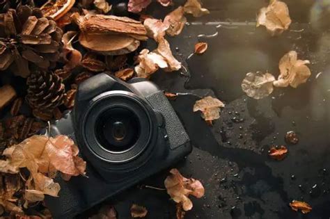 videography photography    difference click level
