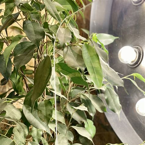 Купить Защитная перегородка, письменный стол, окно 60х60: отзывы, фото ...