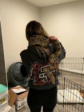 Pterodactylsftw Twowheelsandaponytail Nude OnlyFans NudoStar TV