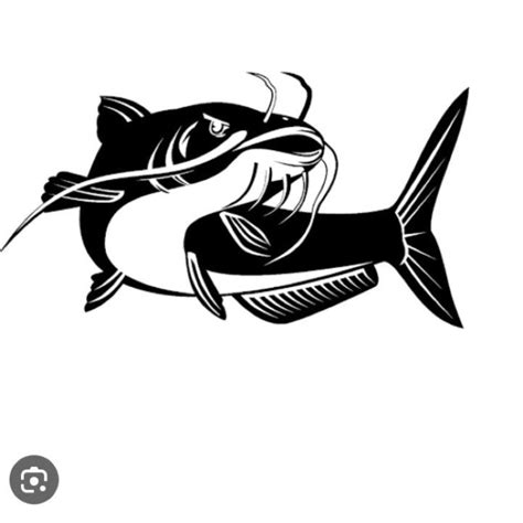 jual stiker ikan tsn catfish shopee indonesia