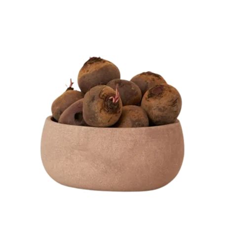 Cachepot Vaso Planta Nude X Cm Liane Casa Decor