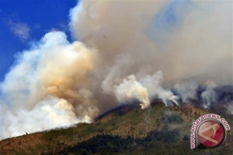 Kebakaran Lereng Sumbing Hanguskan Hektare Hutan Antara News