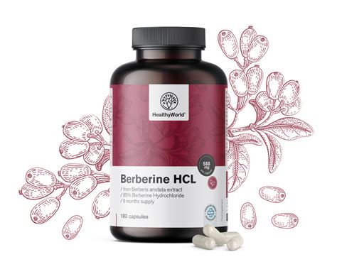 Berberina HCL 500 mg, 180 de capsule - HealthyWorld.ro