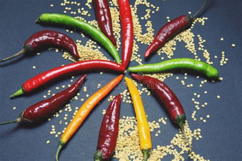Hot Chilli Pepers Stock Photo Image Of Black Organic