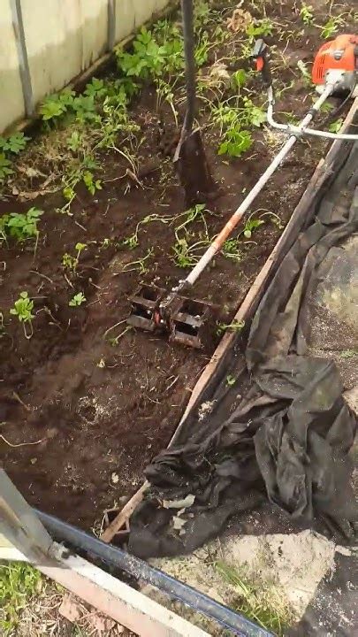 Использование насадки- культиватора для триммера с пропольником в ...