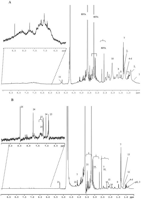 500 MHz 1H NMR Spectra Of Arterial Umbilical Cord Plasma From A VLBW