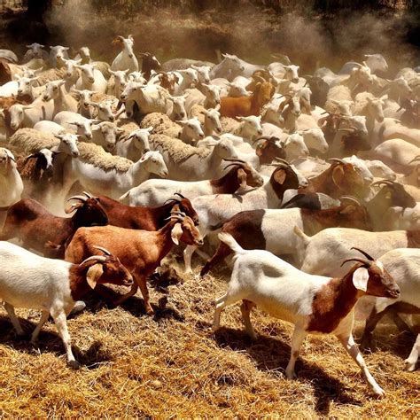 Maribel Guardia y su belleza a los años celebró con una foto en bikini sus millones de