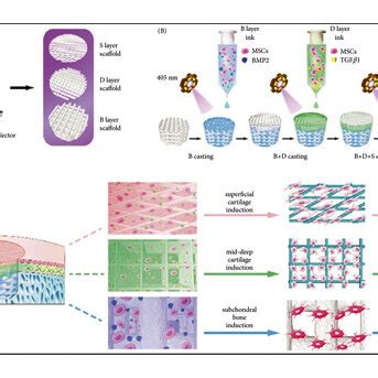 Various Hydrogel Based Growth Factor Delivery Systems For Cartilage