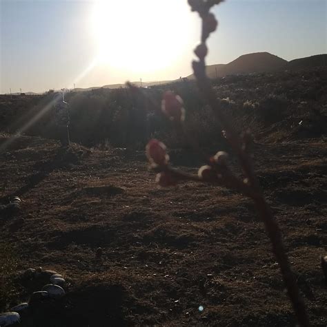 Te paso el dato comodoro Rivadavia