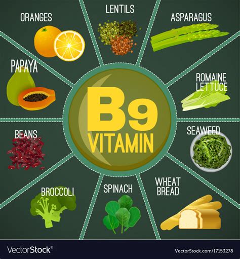 Vitamin B9 And B6 at Kristina Padgett blog