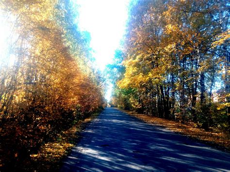 Осень в Орле | Пикабу