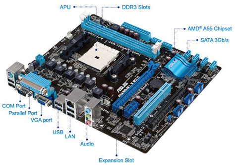 F1a55 M Lx R20 Motherboards Asus Global