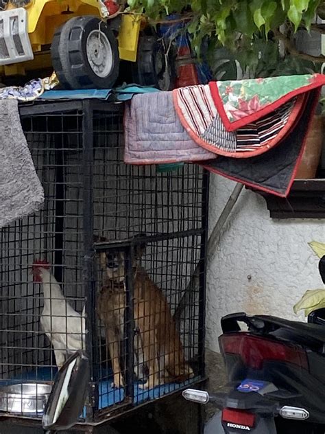 Top 10 Most insane crossover : r/Philippines