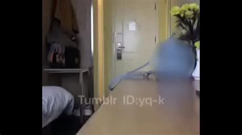 Naked For The Delivery Guy Search Xvideos