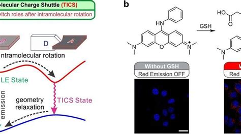 Researchers Discover New Charge Transfer And Separation Process