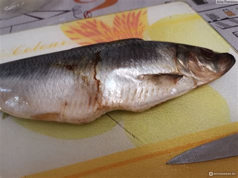 Сельдь слабосоленая FisH2O Атлантическая - «Нереально вкусная селедка ...