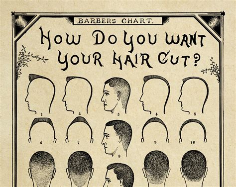 Barber Shop Haircuts Chart