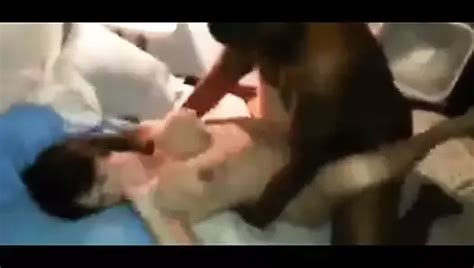 Shared Wife Thrusts Hips And Cums Hard On Big Black Dick Orgasm Porn Xhamster