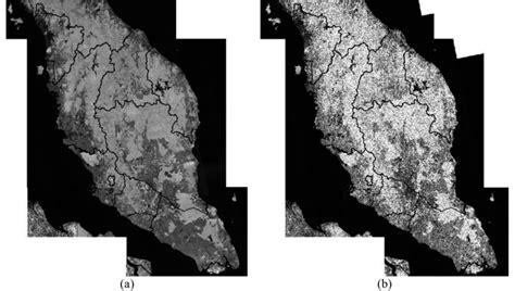 Mosaic images of Alos Palsar (a) and Alos-2 Palsar-2 (b) over the years... | Download Scientific ...