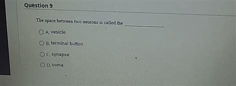 solved question  space   neurons  called cheggcom