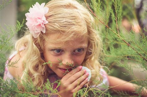 Petite Fille Blonde Adorable Photo Stock Image Du Humain Caucasien