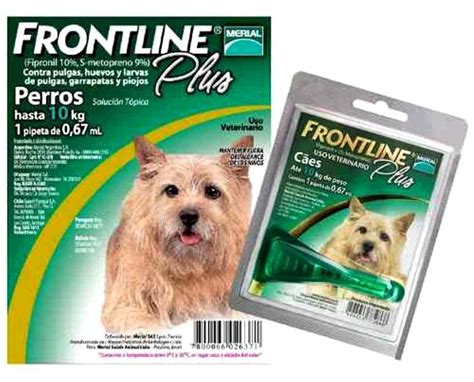 Pipeta Antipulga Antipiojo Frontline Plus 0 67ml Perro 10 Kg 4 990