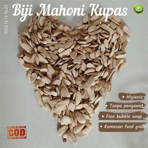 jual biji mahoni kering grade  shopee indonesia