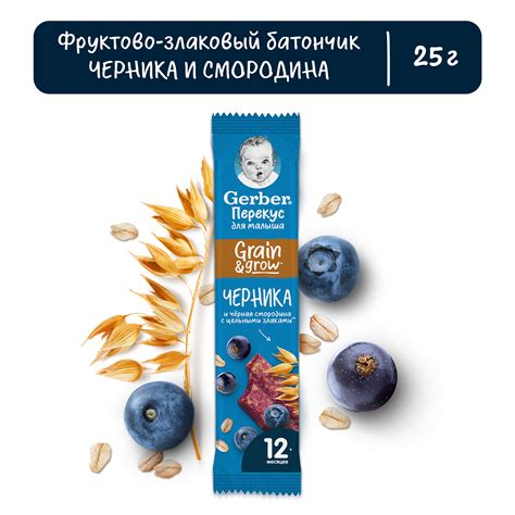 Батончик фруктовый Gerber с черникой и черной смородиной 25 г купить по ...