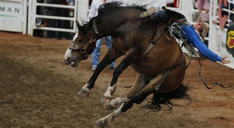 Le Sexe Anal Non Prot G Devrait Il Toujours Tre D Conseill Slate Fr