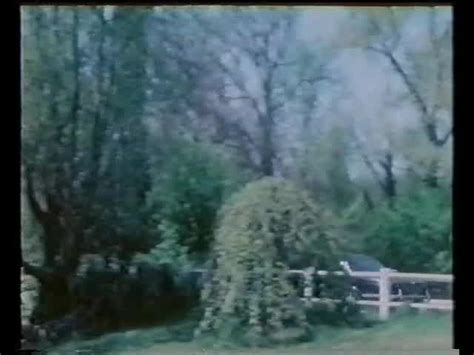 Furia Sexuelle Free Porn Video C Hotntubes