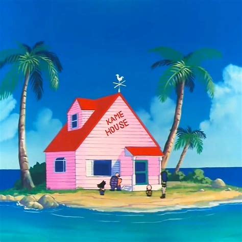 dragon ball kame house  dragon