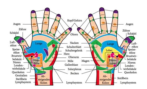 Reflexzonen Massage Diagnose Und Therapie Zugleich