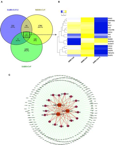 Frontiers Gene Expression Profiling Reveals The Shared And Distinct