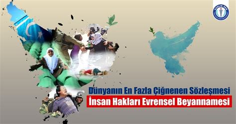 Nsan Haklar Evrensel Beyannamesi Y K De Ildir