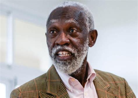 prof adei   gra board chairman dailyguide network