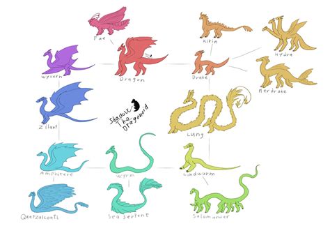 Dragon species chart (more info in desc) by ShadowTheDragonoid on DeviantArt